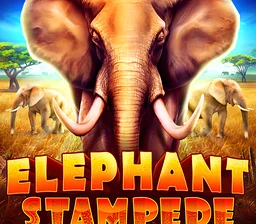 Elephant Stampede